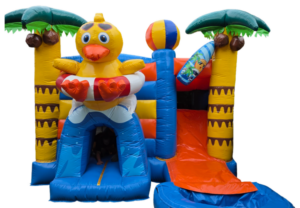 Multiplay Exotic Summer Duck (Zwembad)